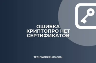 КриптоПро: Нет действительных сертификатов — как исправить