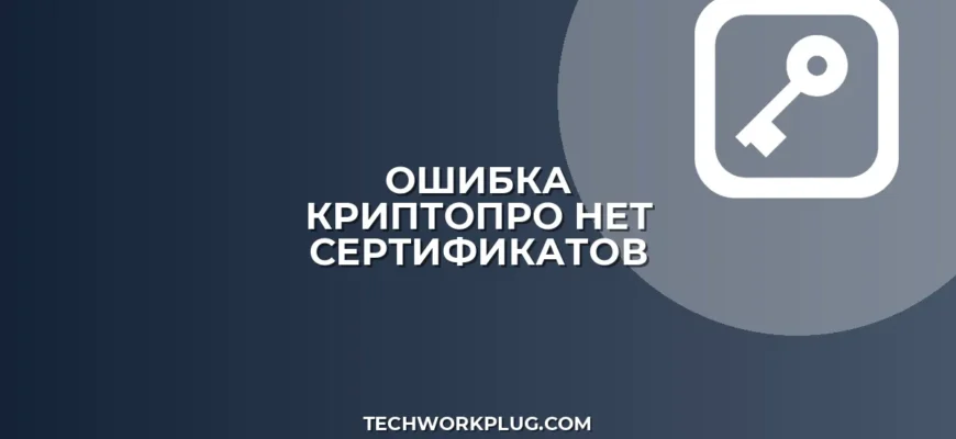 КриптоПро: Нет действительных сертификатов — как исправить