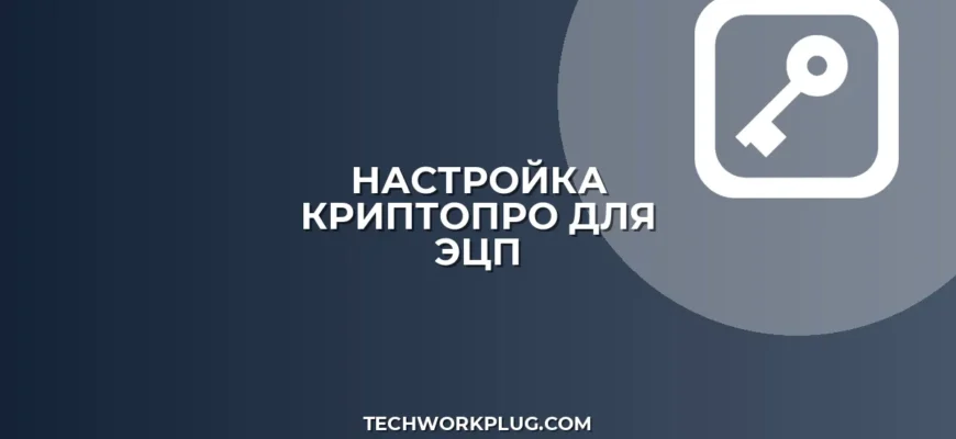 Настройка КриптоПро для торговых площадок: пошаговый гайд