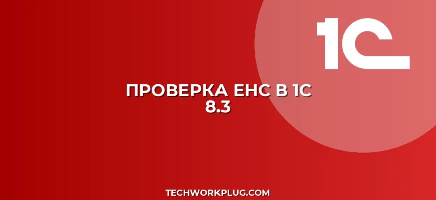 Как проверить ЕНС в 1С 8.3: пошаговая инструкция