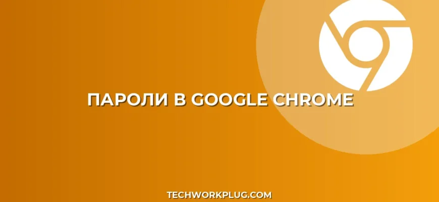 Как посмотреть сохраненные пароли в Chrome: инструкция