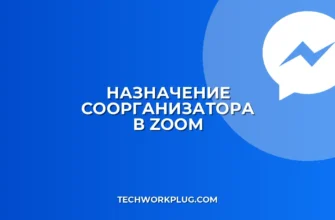 Как добавить соорганизатора в Zoom: инструкция