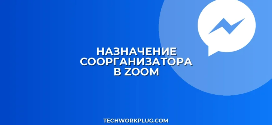 Как добавить соорганизатора в Zoom: инструкция