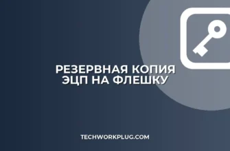 Как скопировать ЭЦП на флешку: пошаговая инструкция