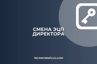 Смена владельца ЭЦП при смене директора: Инструкция 2024