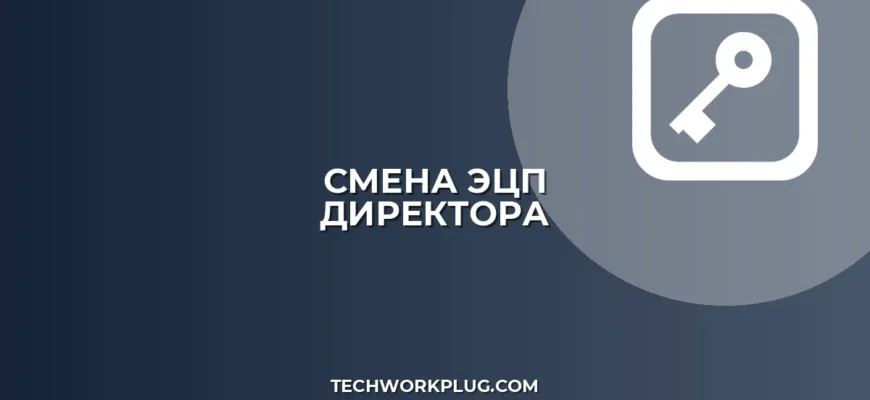 Смена владельца ЭЦП при смене директора: Инструкция 2024