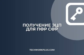 Как получить ЭЦП для ПФР (СФР): пошаговая инструкция