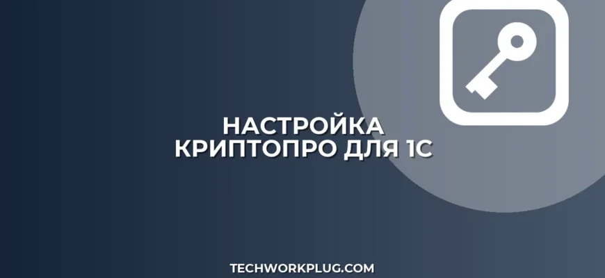 Настройка КриптоПро для 1С-Отчетности: пошаговый гайд