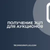 Как получить ЭЦП для аукционов: пошаговая инструкция