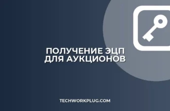 Как получить ЭЦП для аукционов: пошаговая инструкция