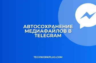 Автосохранение медиа в Telegram: пошаговая настройка